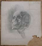 Drawing of the artist Alexander Alyoshin 'Skull'. Size of the file - 39,8 KB. Graphics. Drawing.