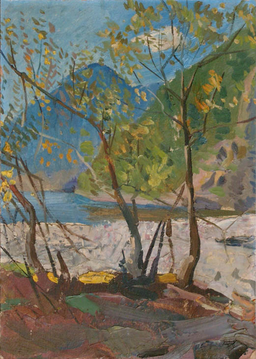 * Alexander Alyoshin - russian artist * Painting * Cardboard * Landscape - lake Rica *