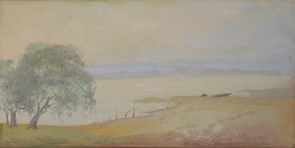 * Alexander Alyoshin - russian artist * Painting * Cardboard * Landscape - oka in mist *